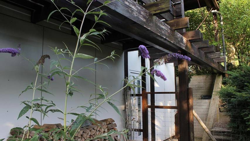 Ferienwohnung für 3 Personen, mit Garten in Kreis Herzogtum Lauenburg - 3