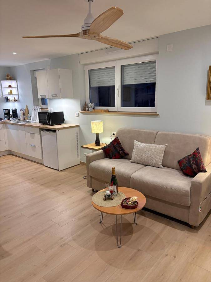 Gîte pour 2 personnes, avec jardin, animaux acceptés dans Diebolsheim - 4