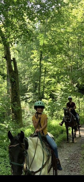 Ganze Wohnung, Luxus Leben Mit Bestem Toxaway Falls View in Lake Toxaway