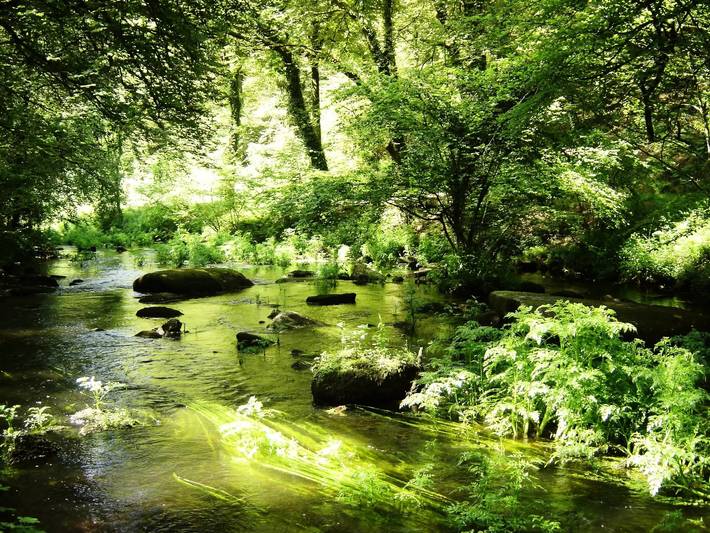 Mobil home pour 4 personnes, avec terrasse à Inguiniel - 4