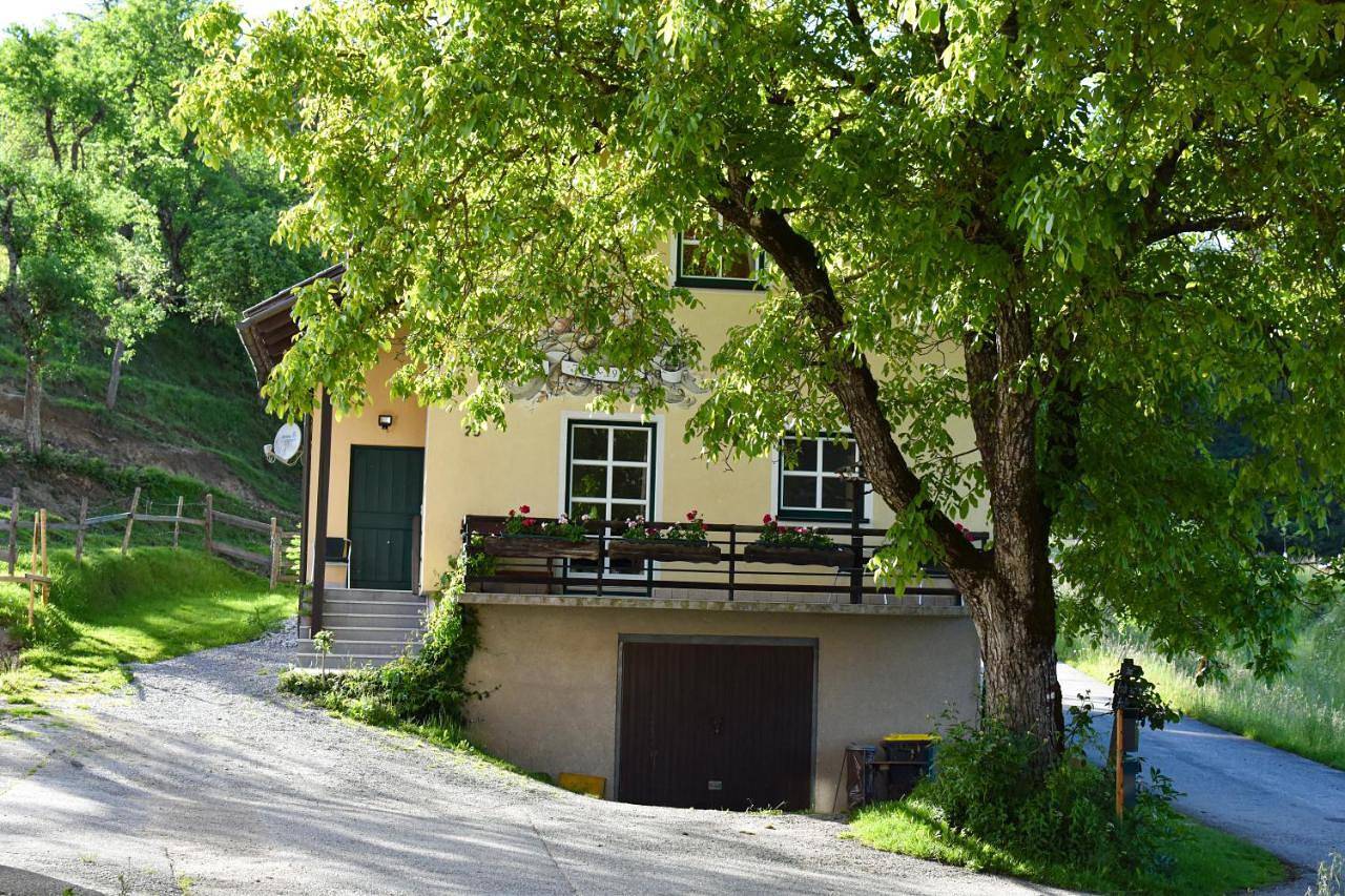 Ganze Wohnung, Ferienwohnung Sattelhof in Türnitz, Mostviertel Region