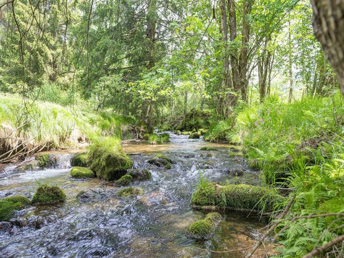 Ferienhaus für 5 Personen, mit Garten und Terrasse, kinderfreundlich in Oberösterreich - 4