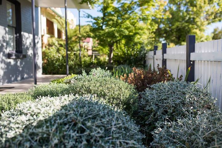 Holiday home for 6 people, with garden, with pets in Orange (NSW)