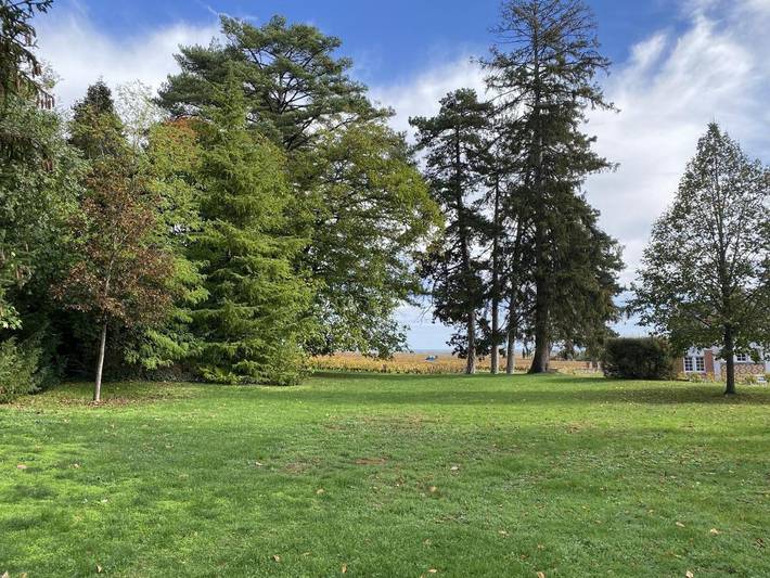 Gîte pour 6 personnes, avec jardin à Savigny-lès-Beaune - 2