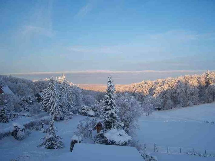 Ferienhaus für 2 Personen, mit Terrasse und Garten, kinderfreundlich in Thale - 3
