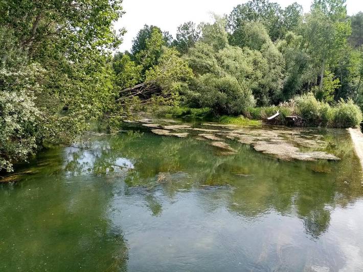 Chalet para 18 personas, con piscina además de jardín y vistas en Bages - 3