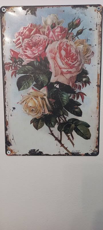 Appartement De Vacances pour 8 Personnes dans Mulhouse, Région de Mulhouse, Photo 1