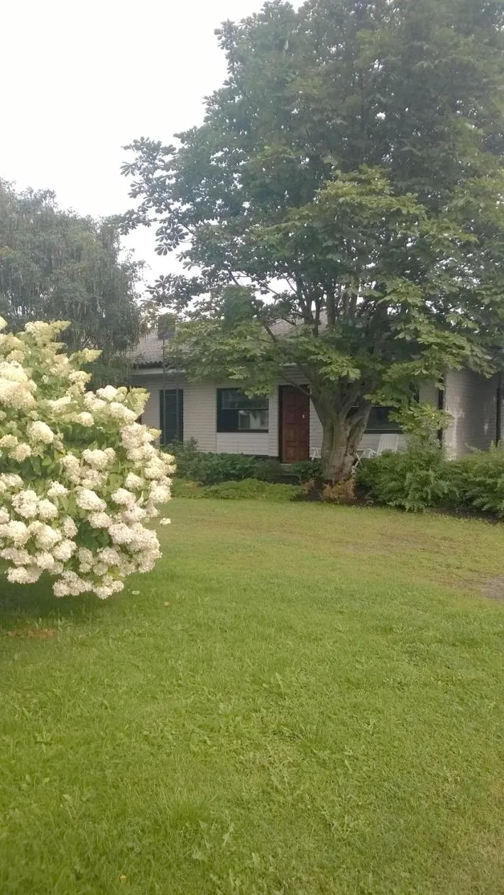Ferienwohnung für 4 Personen, mit Garten, mit Haustier - 1