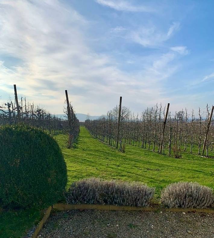 Ferienhaus für 4 Personen, mit Terrasse in Ueberlinger see - 3
