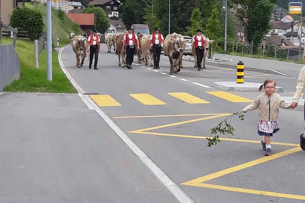 Ganze Wohnung, Ferienwohnung auf zwei Etagen in Urnäsch, Appenzell Ausserrhoden