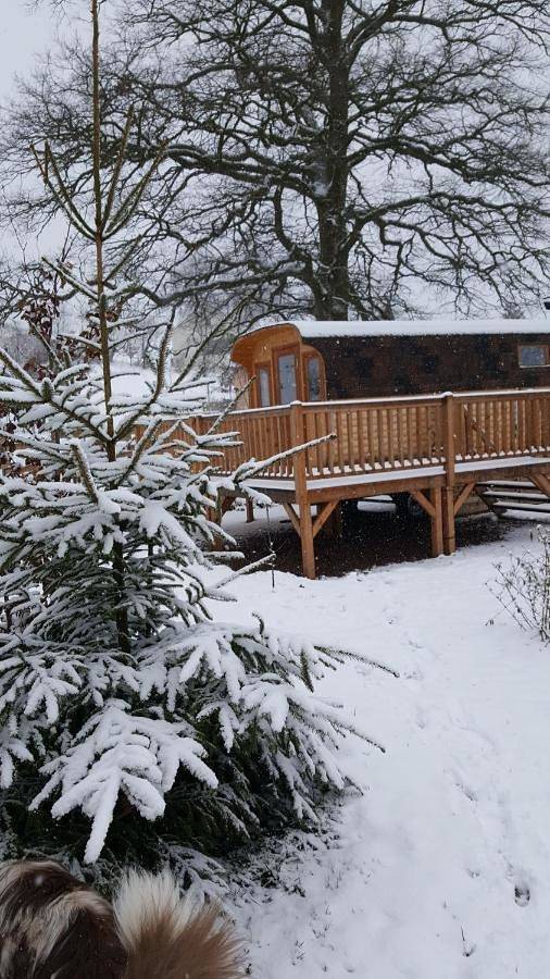 Ma Roulotte sous les Chênes "la passionnée" in Raon-aux-Bois, Région d'Épinal