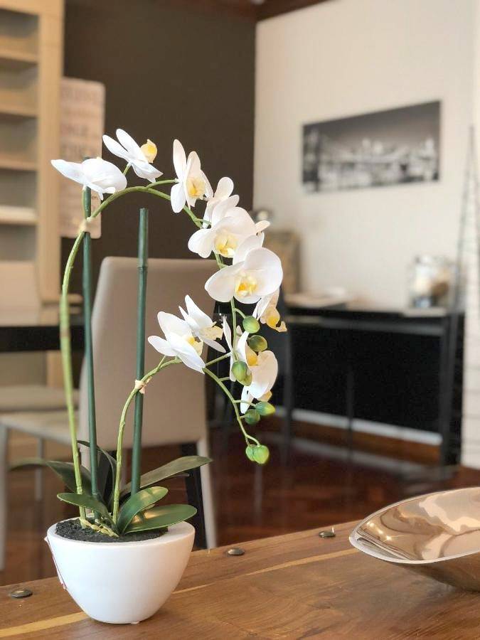 Gîte pour 6 personnes, avec vue ainsi que balcon et piscine à Tudela - 3