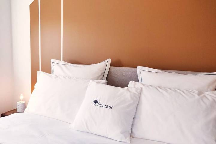 Location de vacances pour 16 personnes, avec sauna et jardin, animaux acceptés à Renaix - 3