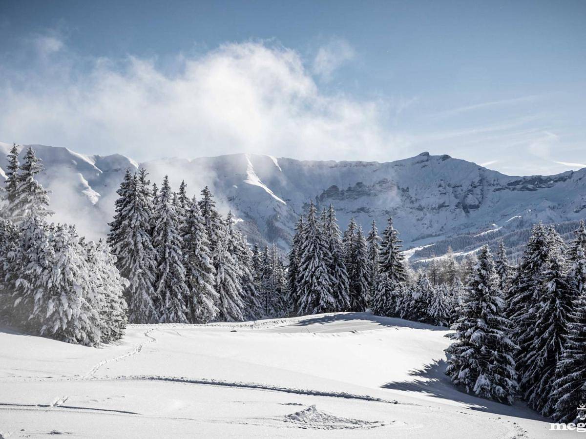 Appartement entier, Apartment in Megève, Pays du Mont-Blanc