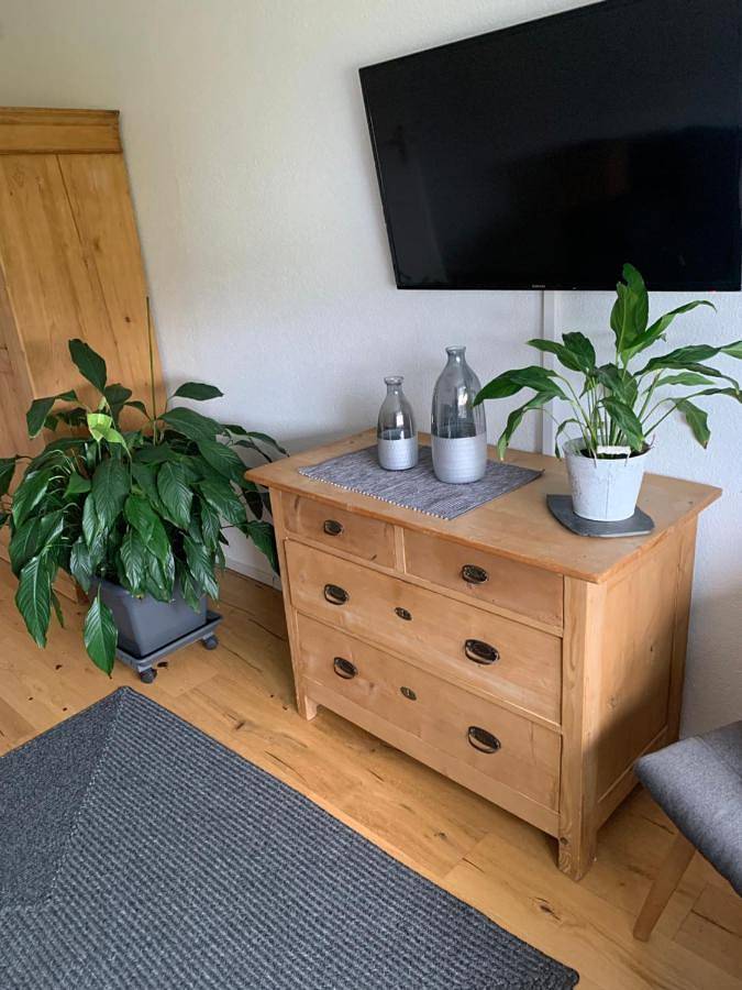 Maison d’hôte pour 2 personnes, avec jardin et vue à Radolfzell am Bodensee - 2