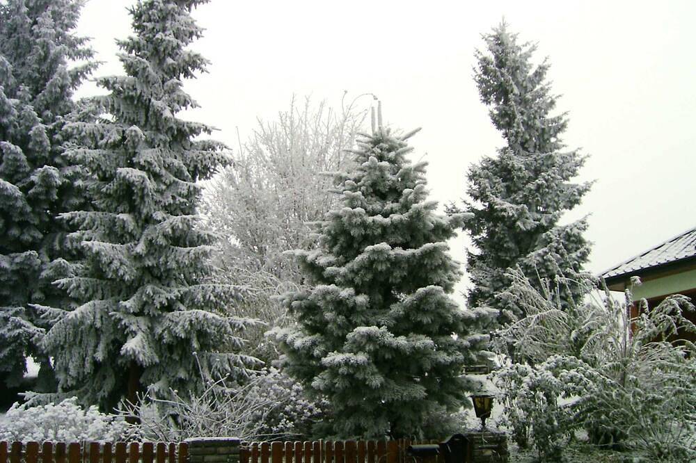 Geheel appartement, Appartement - Appartement in Haidach in Salzkammergut Mountains, Seewalchen am Attersee