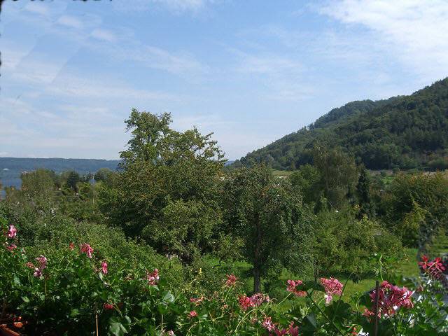 Ganze Ferienwohnung, Ferienwohnung Reiner Erben - 3-Zimmer-Fewo, Dg, 86 m² in Radolfzell am Bodensee, Landkreis Konstanz