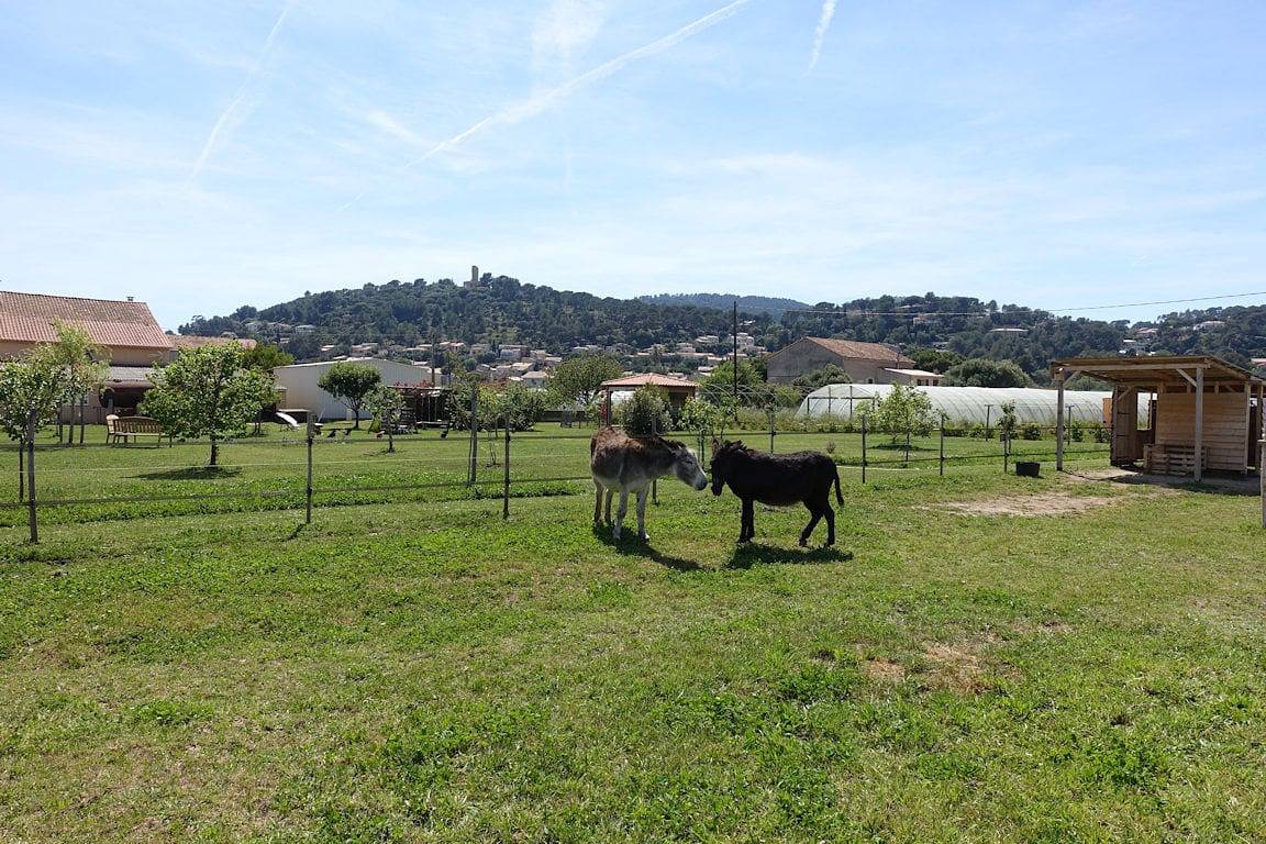 Gîte du Pagoulin - Chambres d'hôtes - Chambre "Soleil couchant" in Hyeres, Région de Toulon