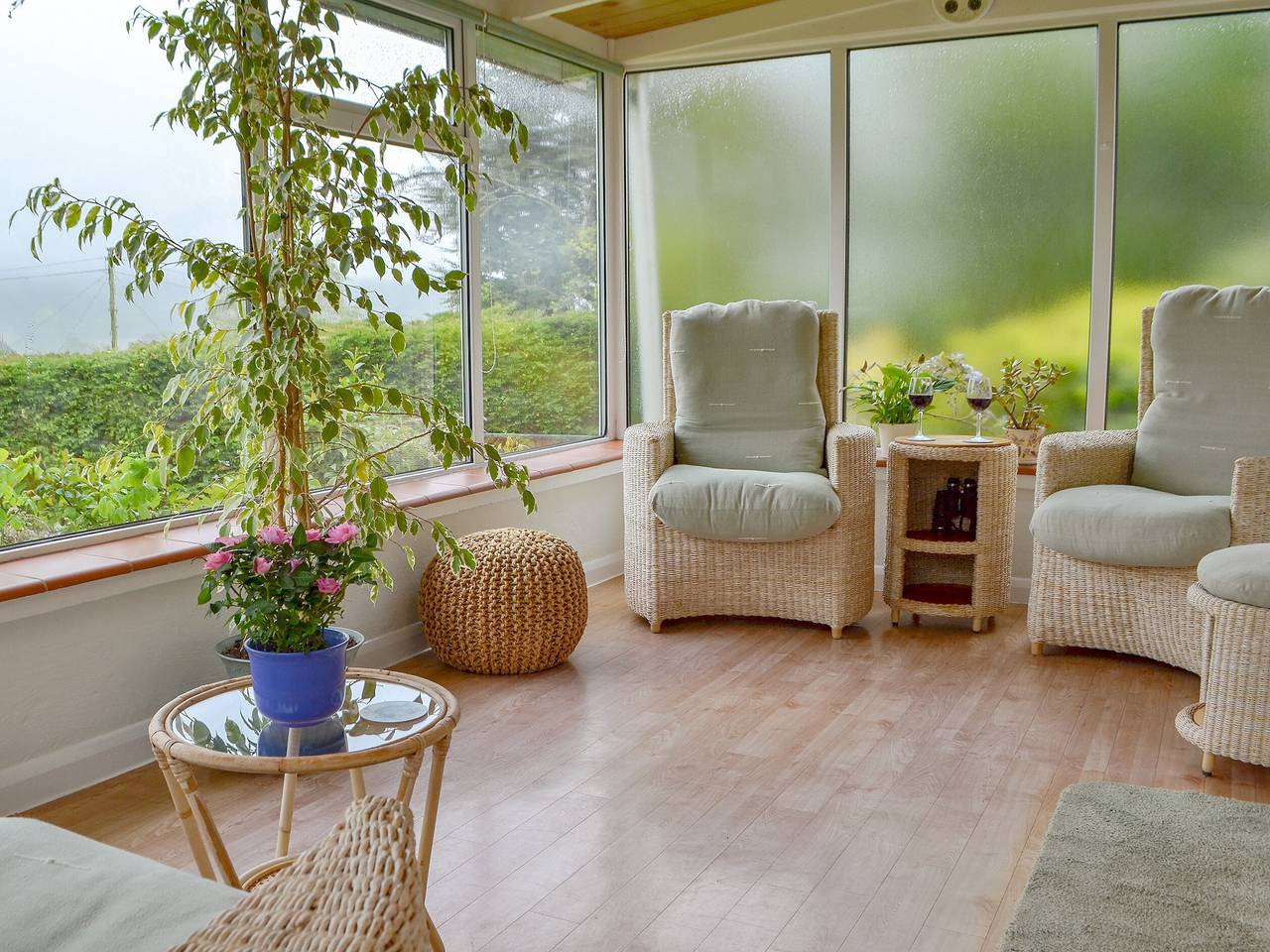 Clip Clops in Findon, South Downs