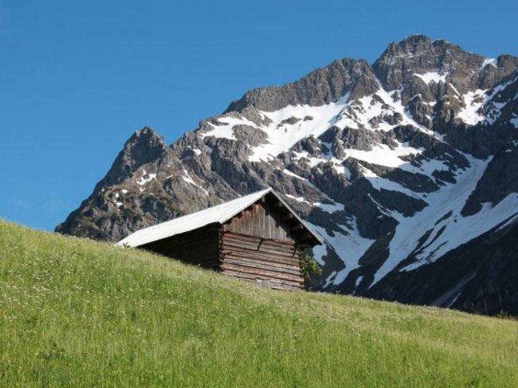 Birke im Hoefle in Mittelberg, Kleinwalsertal