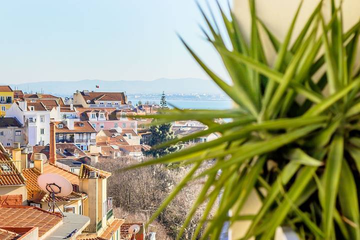 Apartamento entero, Príncipe Real Sunny Apartment in São Mamede, Lisboa