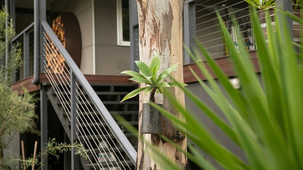 Fig Tree Luxury Guest House in Pokolbin, Hunter Valley