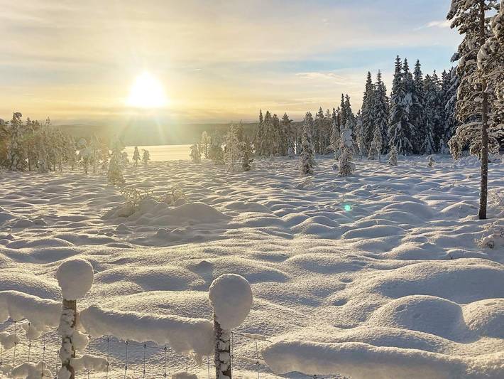 Feriehus for 6 personer, dyr tillatt i Oppland
