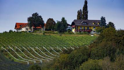 Bauernhof für 4 Personen in Steirerland, Oststeiermark, Bild 1