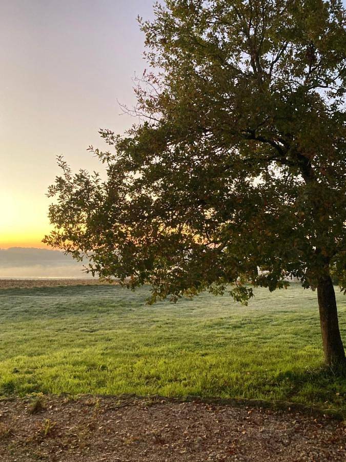 Maison de vacances pour 7 personnes, avec vue et piscine ainsi que vue sur le lac et jardin - 1