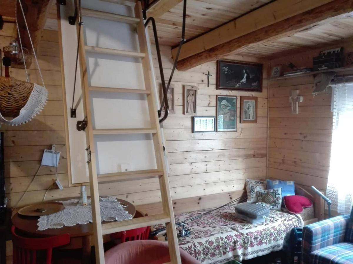 Chata Spokoju pod Gwiazdami in Białowieski Park Narodowy