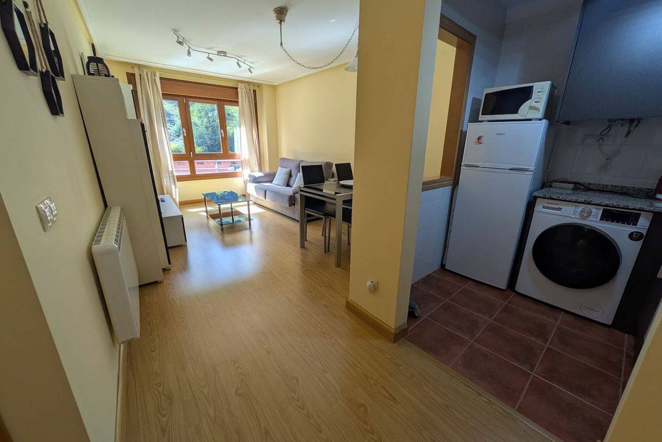 Ganze Wohnung, 21A07 Apartment in Felechosa in Felechosa, Aller