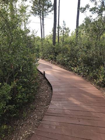 Vacation Apartment for 6 Guests in St. James (NC), North Carolina, Picture 3