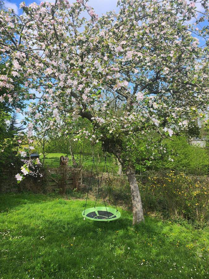 Gîte pour 4 personnes, avec vue ainsi que jardin et piscine, animaux acceptés à Quetteville - 2