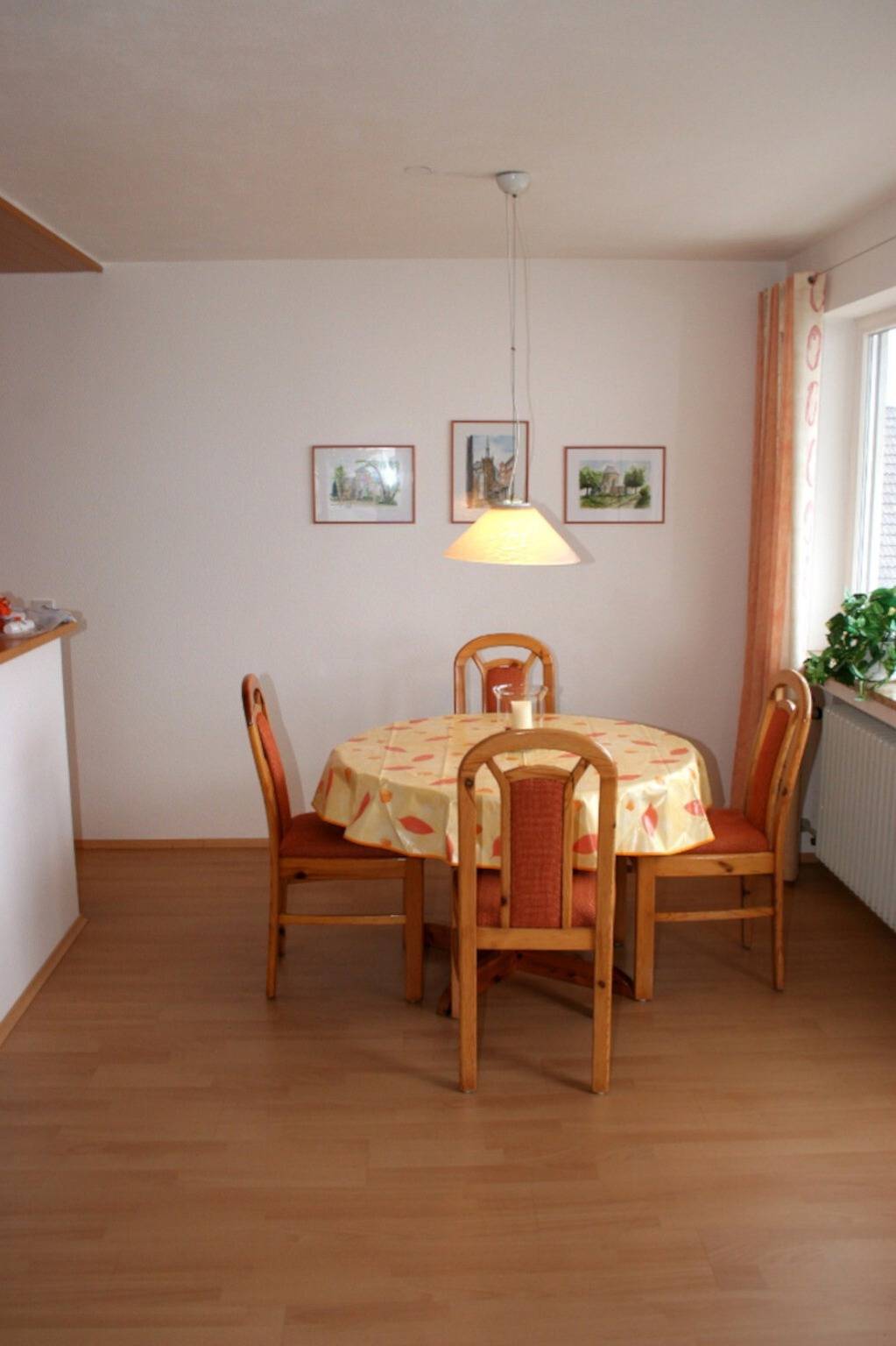 Ganze Wohnung, "Ferienwohnung Dr Saretz" mit Teilseesicht, privater Terrasse und Wlan in Bodman-Ludwigshafen, Obersee (Bodensee)