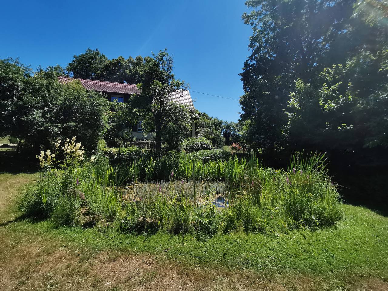 Ferienhaus 'Am Alten Steinbruch' mit gemeinsamer Terrasse, gemeinsamem Garten und Wi-Fi in Tengen, Hegau