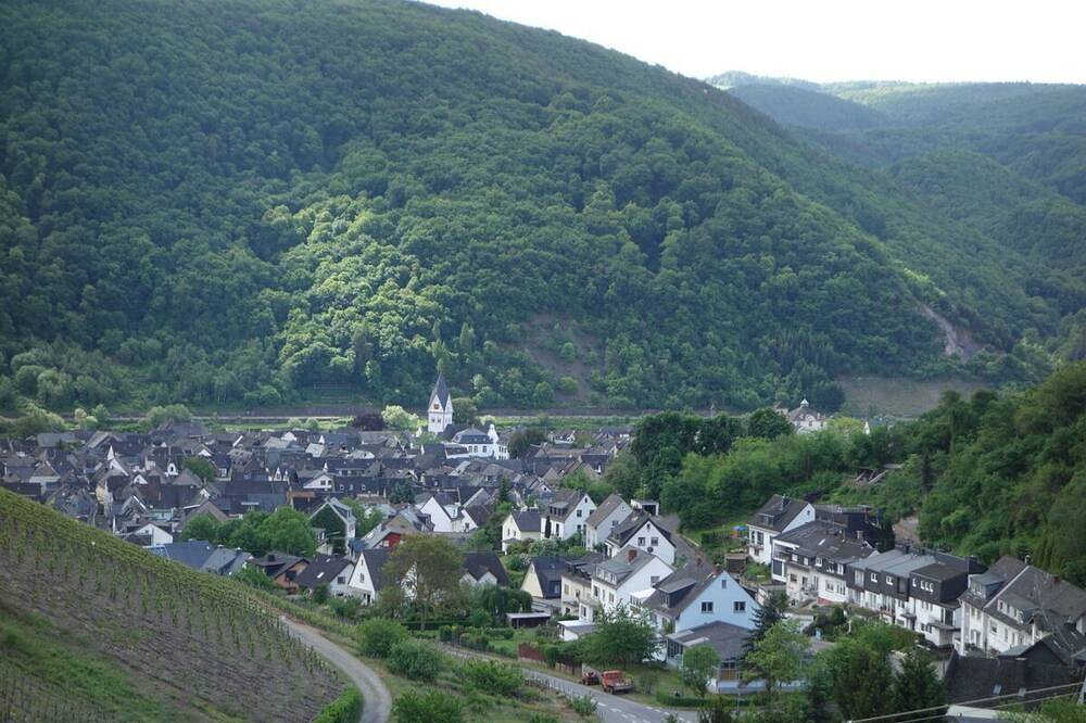 Ganze Wohnung, Weinhexe, komfortable ausgestattete Nichtraucher Wohnung mit zwei Terrassen in Winningen, Osteifel