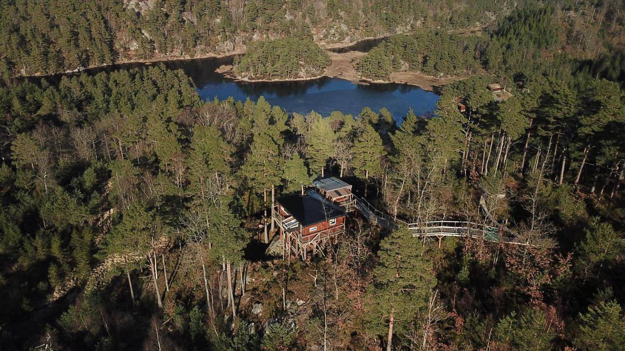 Gluba Treetop Cabins Elgposten in Mandal