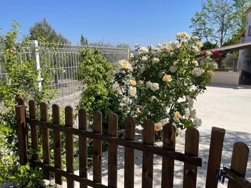 Chalet para 17 Personas en Moratalla, Provincia de Murcia, Foto 3