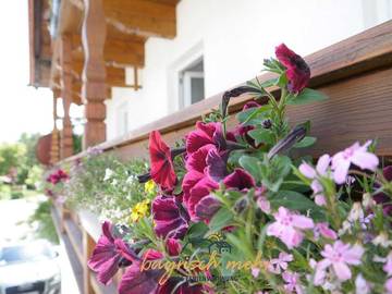 Ferienhaus für 4 Personen, mit Balkon und Seeblick in Oberbayern