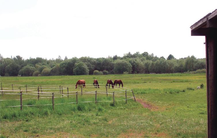 Ganze Ferienwohnung, Ferienwohnung für 4 Personen mit Garten in Landskrona, Skane