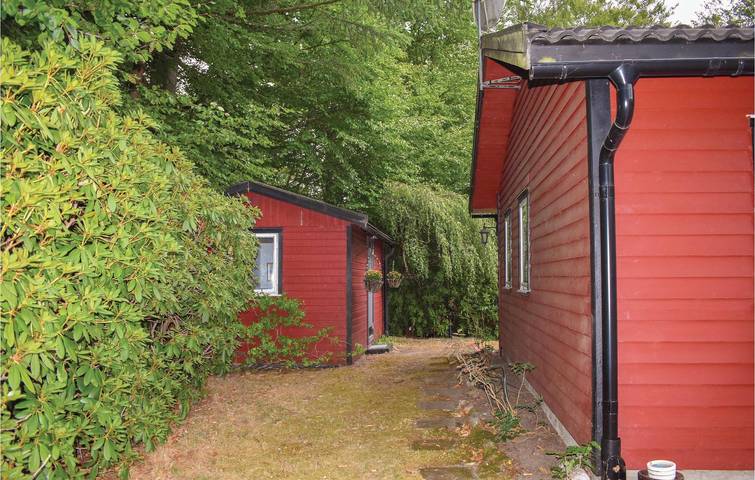 Location de vacances pour 6 personnes, avec sauna ainsi que jardin et terrasse, animaux acceptés dans Skåneland - 4