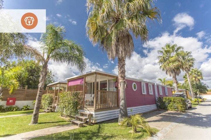 Camping para 4 personas, con sauna además de piscina para niños y jacuzzi en Baix Camp