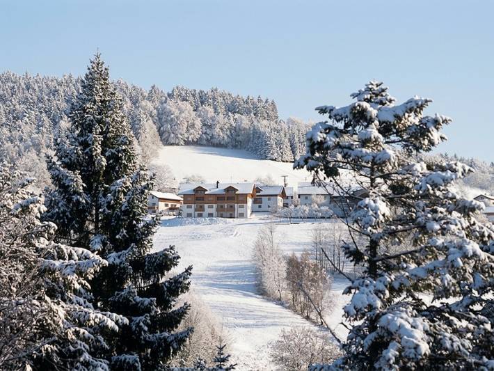 Vacation rental for 6 people, with Balcony and Hot tub as well as Yard and Sauna in Bavarian Forest National Park