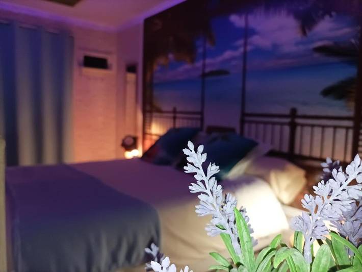 Location de vacances pour 2 personnes, avec terrasse et jardin à Courrières - 4