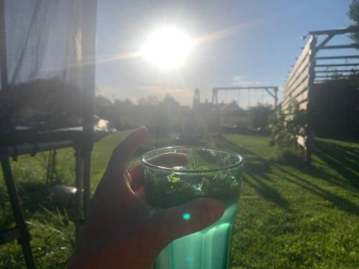 Location de vacances pour 6 personnes, avec jacuzzi et jardin dans Plage des Gougins - 4