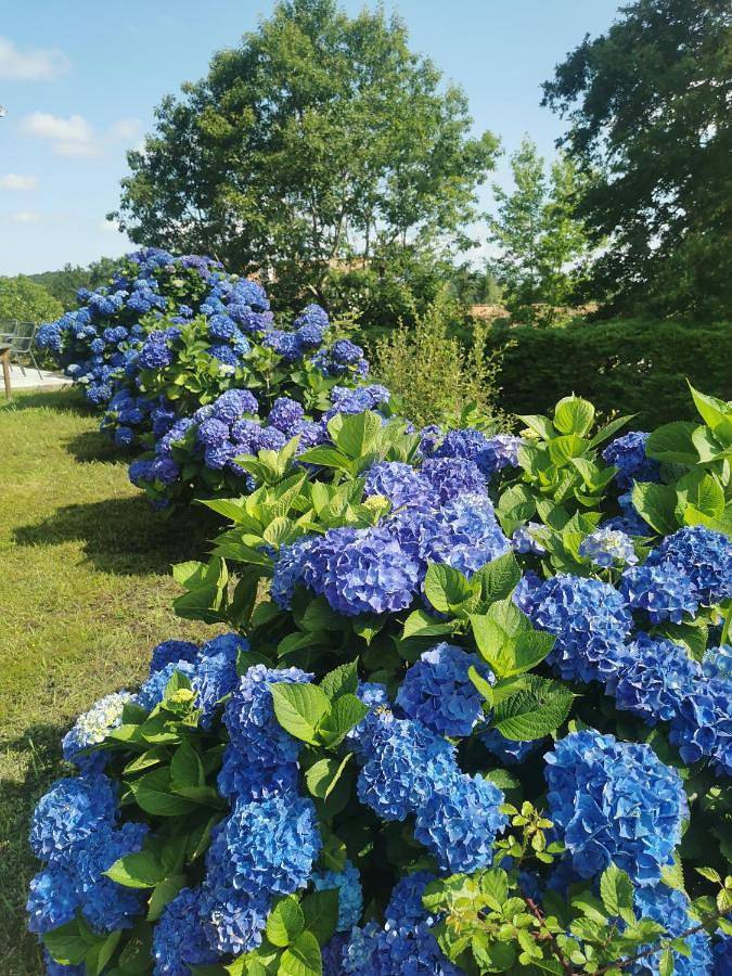 Location de vacances pour 8 personnes, avec piscine et terrasse à Bassussarry - 4