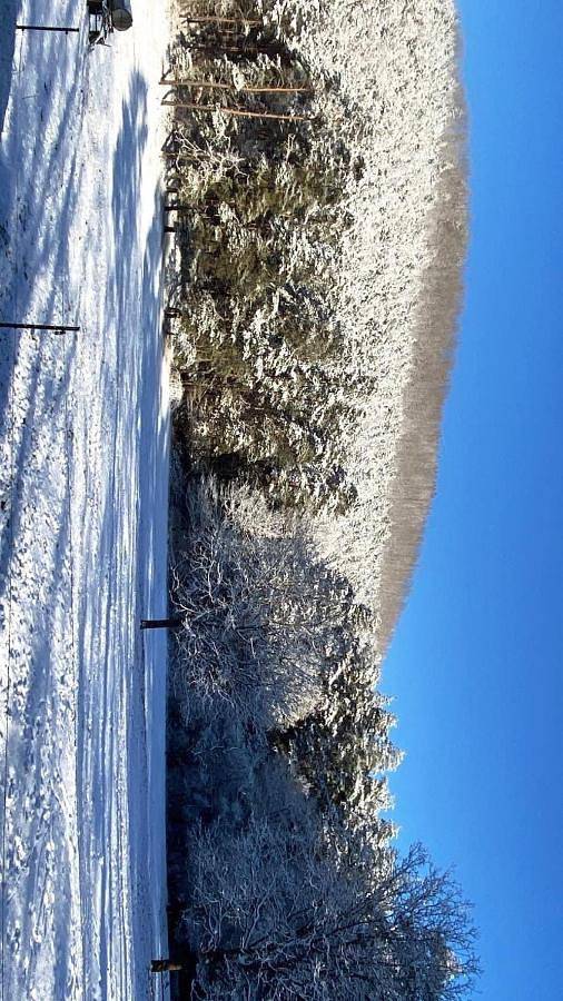 Gîte pour 6 personnes, animaux acceptés à Obersteinbach - 3
