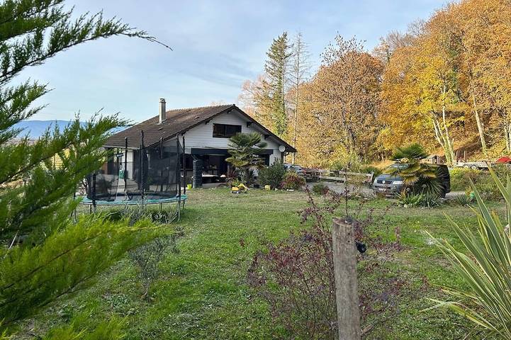 Location de vacances pour 6 personnes, animaux acceptés à Douvaine - 4