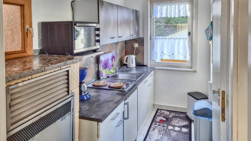 Ferienhaus für 3 Personen, mit Garten in Schleusegrund - 4