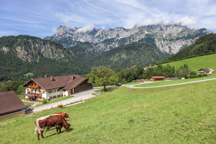 Appartement de vacances entier, Ferienwohnung Ertlerlehen - Ferienwohnung für 1-4 Personen in Marktschellenberg, Alpes bavaroises